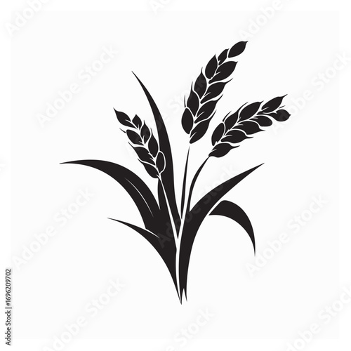 Rice Plant Logo Vector Images . Black and white Rice Plant Logo Vector on white background