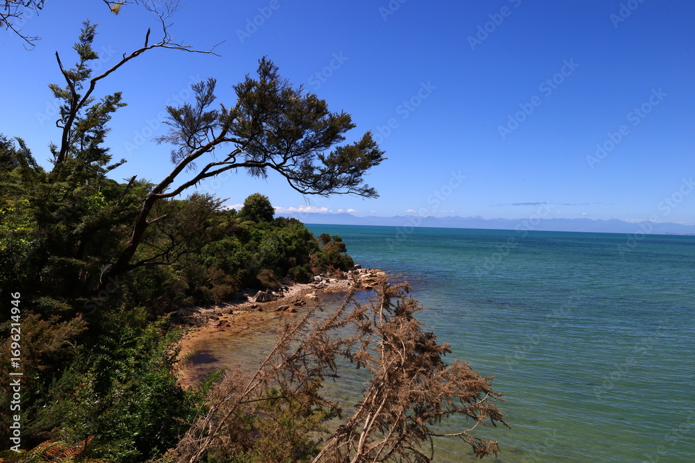 Fototapeta premium Abel Tasman National Park , New Zealand