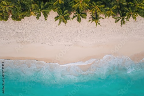 Fototapeta Naklejka Na Ścianę i Meble -  Drone view of a tropical coastline featuring white sandy shores, clear turquoise waters, and palm trees.