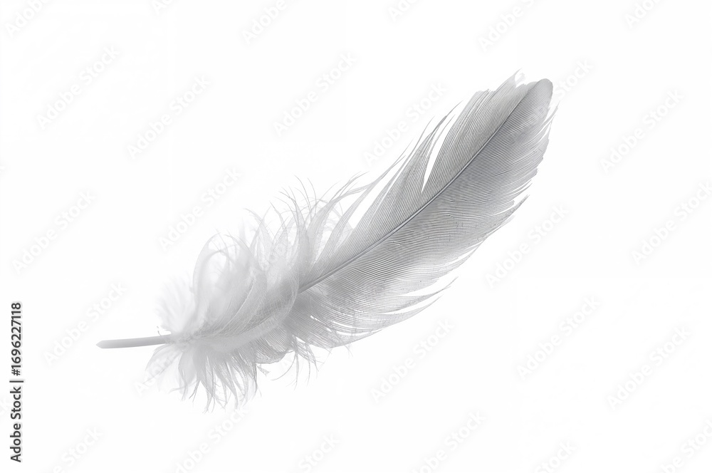 Obraz premium Floating abstract gray feather against a white backdrop