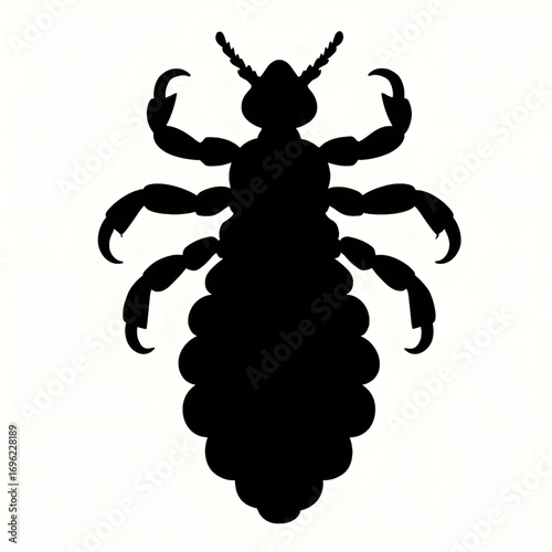 A louse silhouette vector style