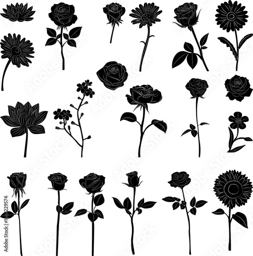 collection of flowers in different angles silhouette, vector
