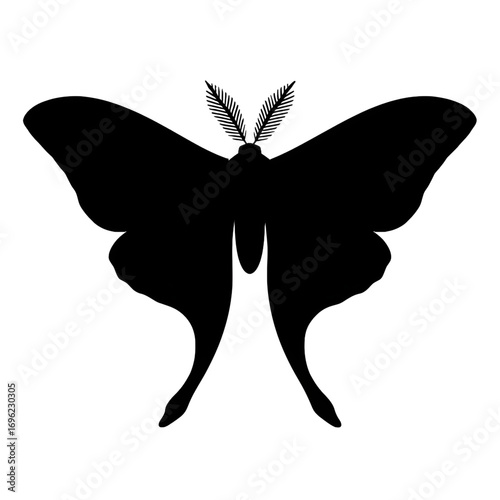 A luna moth silhouette vector style