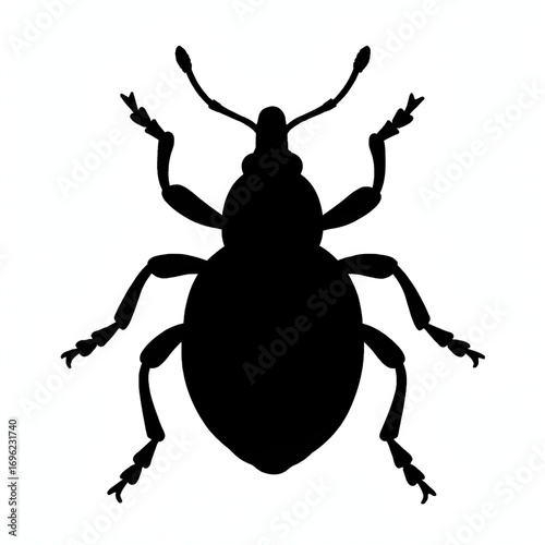 A weevil silhouette vector style 