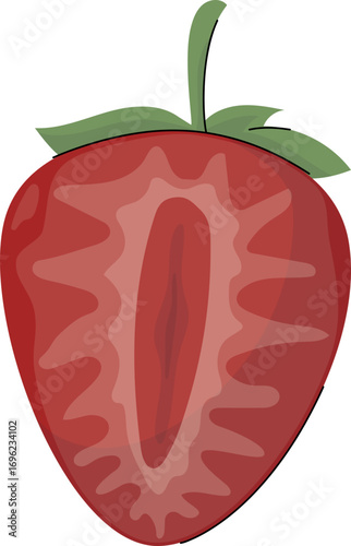 Sliced of Strawberry Vector Illustration