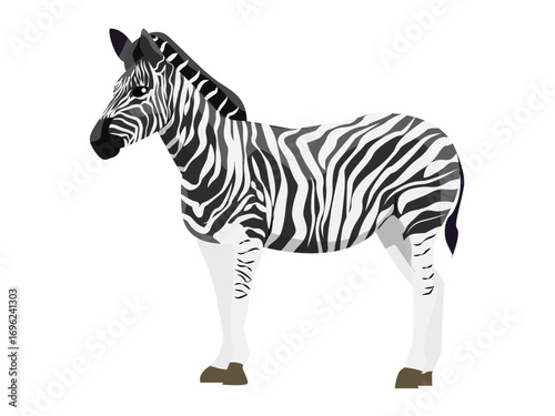 African zebra, Plains zebra Equus quagga or common zebra. Vector realistic animal of Africa