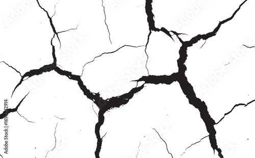 Abstract Black and White Crack Pattern with Textured Surface Design Element