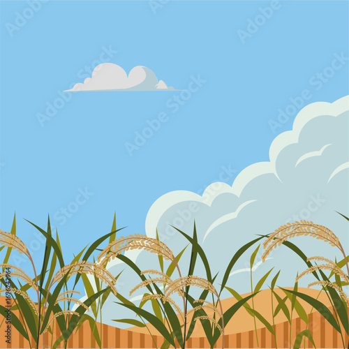 Ricefield landscape flat illustration