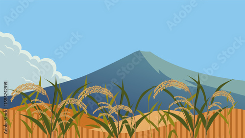 Ricefield landscape flat illustration