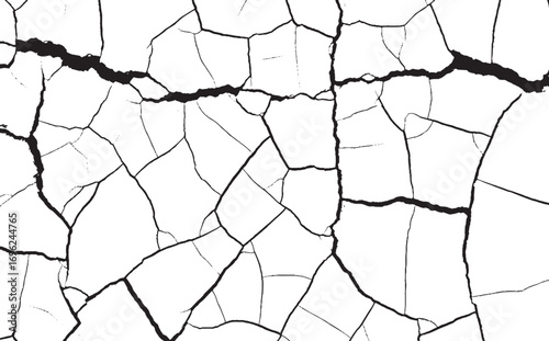 Black and white abstract design featuring a network of cracks and fissures