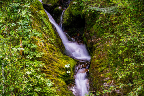 waterfall in the forest