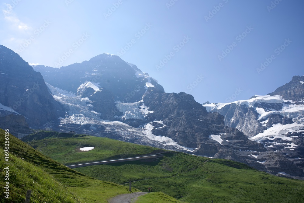 Fototapeta premium panorama of the Swiss Alps in summer
