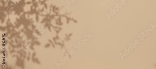 Soft beige background with leaf shadows creating minimalist boho vibe. Calm tones for modern appeal. Background, texture, digital art, minimalist design, boho style.