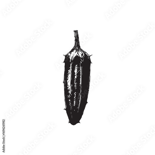 Okra Vector (3).eps