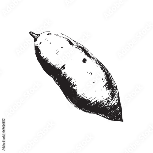 Sweet Potato Vector (3).eps