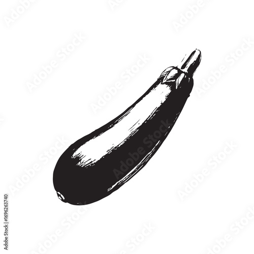 Zucchini Vector (2).eps