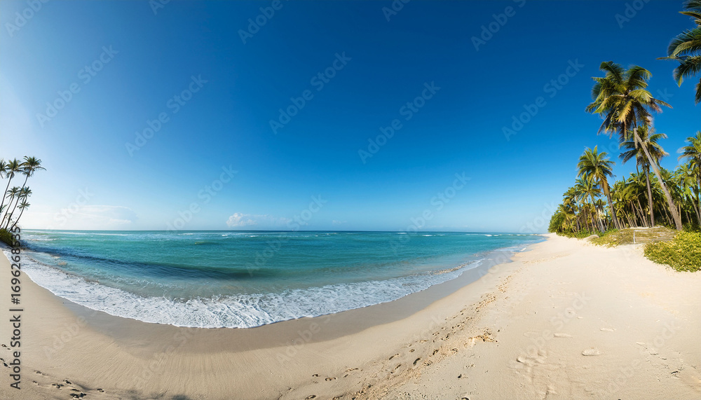 Obraz premium Wide Angle Tropical Shot Of A Sandy Beach Lined With Palm Trees Under A Clear Blue Sky