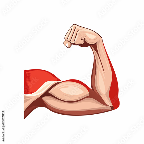 Forearm muscle