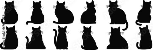 Black cat silhouettes sitting, cute cat shapes, feline figures, domestic pet icons, animal design elements, minimal style, flat vector illustration