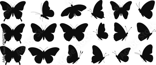 Butterfly silhouettes, insect shapes, wing patterns, black butterflies, flying insects, nature icons, entomology design, vector butterflies, wing diversity, artistic insects