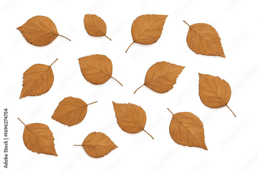 Fototapeta premium Falling orange autumn leaves on transparent background