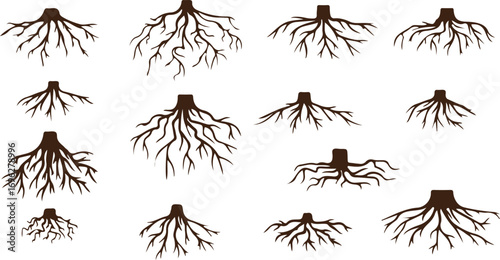 Roots Outline Vector – Hand Drawn Plant Root Illustration, Natural Growth Doodle, Minimal Line Art, Black and White Isolated Symbol, Organic Agriculture Clipart, Botanical Root System Drawing