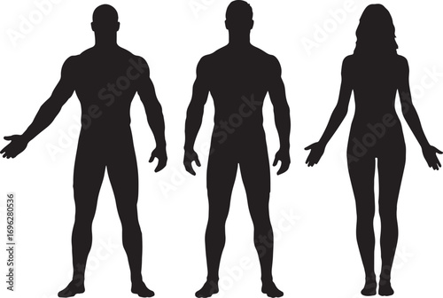 Body silhouettes of a man and a woman.  outline of a human figure.  The frontal body forms of men and women standing at full height.  slender, healthy individuals who are bare and nude.