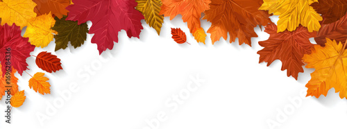 Autumn leaves background, colorful autumn season concept