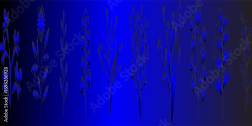 Hand-drawn vector drawing in black outline. A set of wild field grasses, meadow flowers, inflorescences, spikelets, stems, grass.