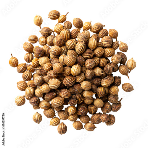 Close up of dried coriander seeds, a flavorful spice.