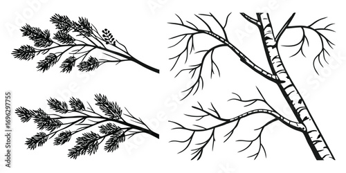 abstract-birch-branch-icons-set--snowy-pine-branch
