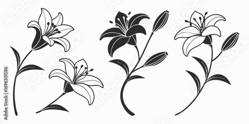 Elegant Black and White Lily Flower Illustrations.