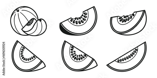 Fresh Melon Slices and Whole Fruit Illustration.