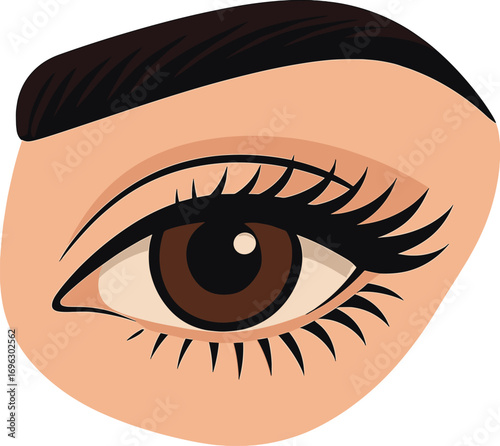 Close-up of a woman's open eye, showcasing eyebrow and eyelash makeup