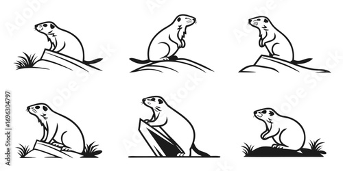alpine-marmot---icons-set---6-minimalist-icons---b