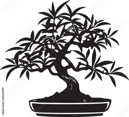 vector illustration of a palm tree
