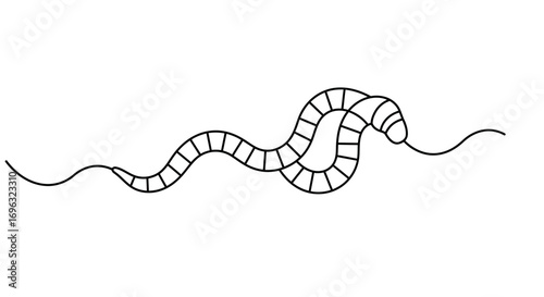 Simple illustration of a worm isolated on white background using black lines