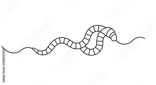 Simple illustration of a worm isolated on white background using black lines