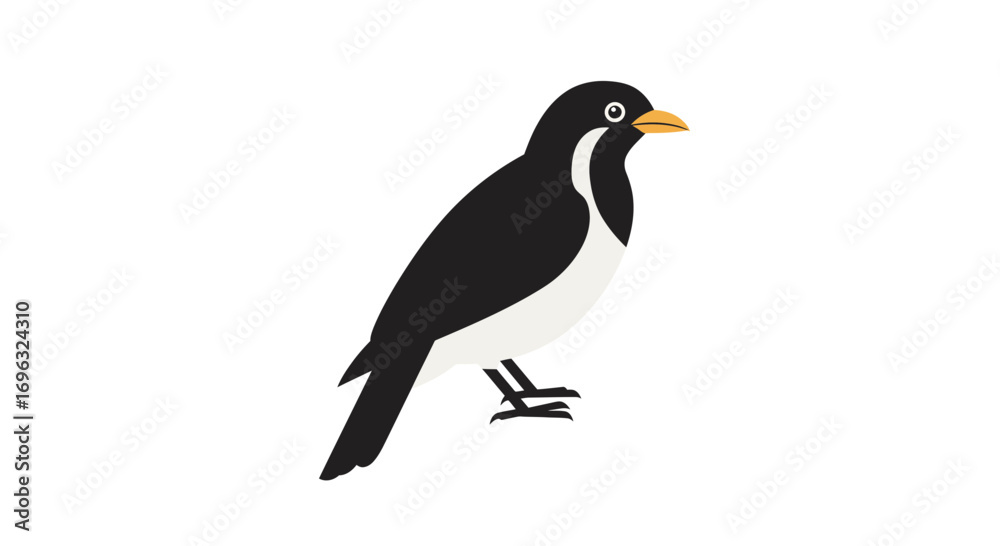Naklejka premium Stylized vector illustration of a Black-and-white bird on a clean white background