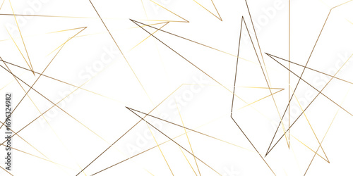 Triangular 3d, modern background Modern geometrical dynamic and seamless abstract white background. Random chaotic lines abstract geometric pattern. .graphic background dots with connections for your