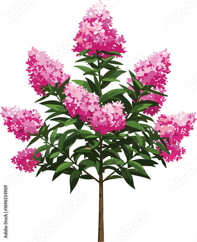 Beautiful pink flowering tree illustration, lush green foliage, botanical garden art, blooming floral design, vibrant natural vector plant isolated on white background