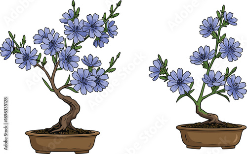 Blue chicory bonsai tree illustration, blooming miniature plant in pot, floral artwork, botanical design, isolated on white background, nature indoor decor