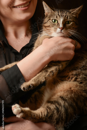 A beautiful cat in the hands of its owner. Young beautiful woman holding a cat. Domestic animals, kitten