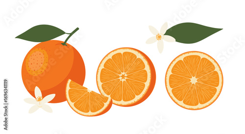 Fresh ripe oranges with leaves and flowers showing the zest and juice for healthy refreshment