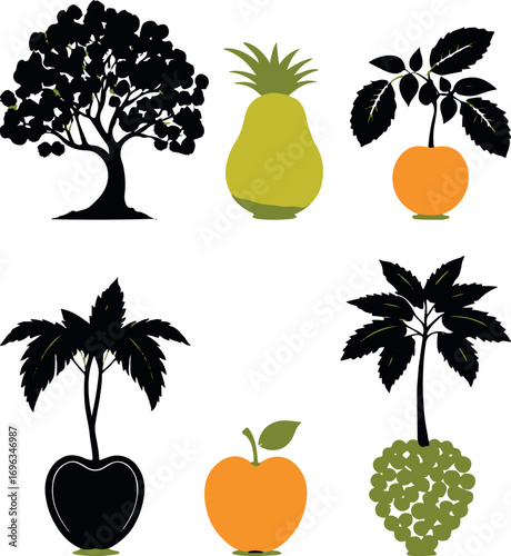 palm trees and fruit