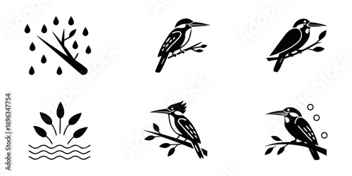 Set of Stylized Kingfisher Bird Icons.