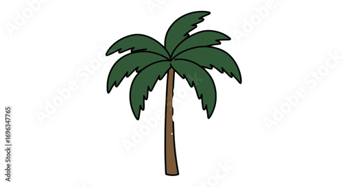 Tropical palm tree illustration summer vacation coconut palm tree drawing nature exotic island design on transparent background