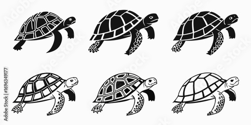 Six Stylized Sea Turtle Illustrations.