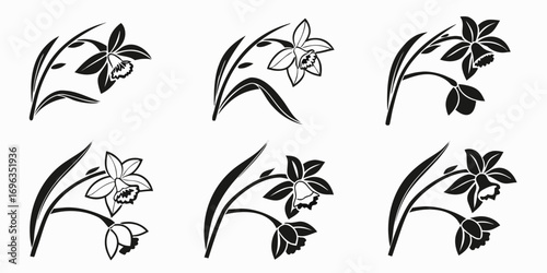Black and White Daffodil Flower Silhouettes Collection.