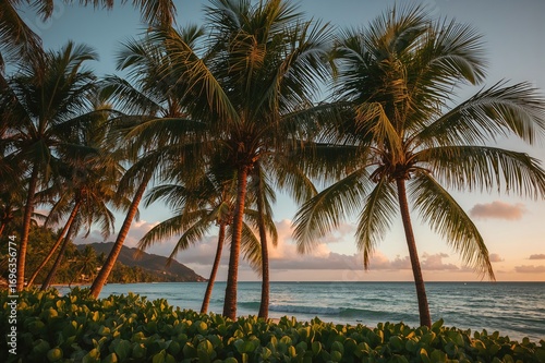 Nightfall on a Secluded Island Getaway